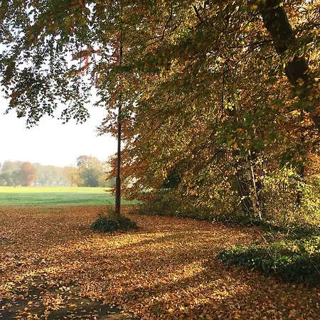 Aiden By Western Lolland Holeby